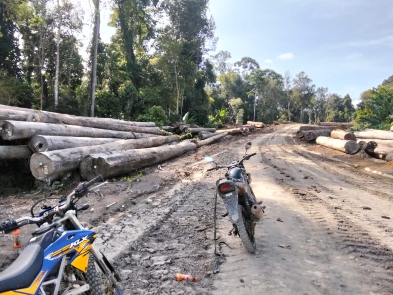 Jalan akses ke kampung